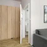 Jasne Studia Very Berry W Centrum Poznania By Renters